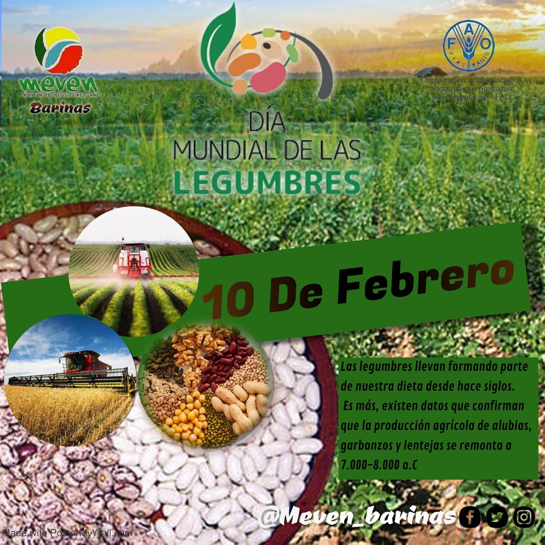 #10Feb Nuestra efemerides #AmaLasLegumbres por una alimentacion saludable y un planeta sano 🥜🫕🥘🌎

##ANPorElBienestarSocial✊🏽🇻🇪

@NicolasMaduro
@Somosmeven🌱
@Lafuerzadchavez
@Psuv_barinas
@Rivassbrandon7
🌎🌳🌿