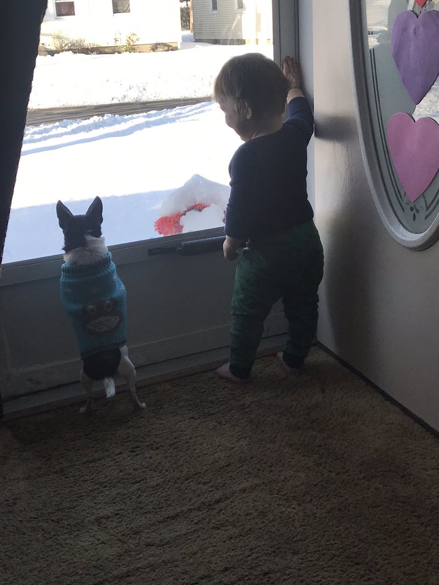 PrincessKayos's tweet image. 💙💙💙💙💙