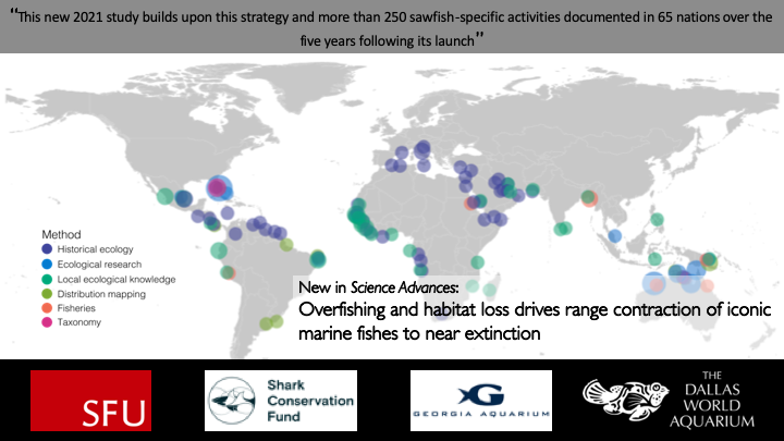 These activities included ongoing research efforts and targeted sawfish searches to determine the current status of sawfish occurrence in each nation. In total, we documented 251 activities from 64 nations  #GreatSawfishSearch 4/n