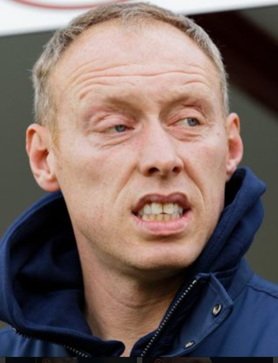 milligan_stuart's tweet photo. Swansea manager Steve Cooper looks like the rabbit fae the magic roundabout like! 😂  @magicroundabout @SwansOfficial https://t.co/HImbkFZWoT
