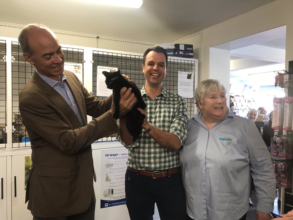 Elliott_001's tweet photo. #BREAKING political battle lines destroyed by cute cat.  @GuyBarnett &amp; @JoshWillie1 were at the opening of a new @RSPCATasmania shop in #moonah this morning. It’s been about two years since the rspca had a facility in sth Tas. https://t.co/gdqVEKB80b