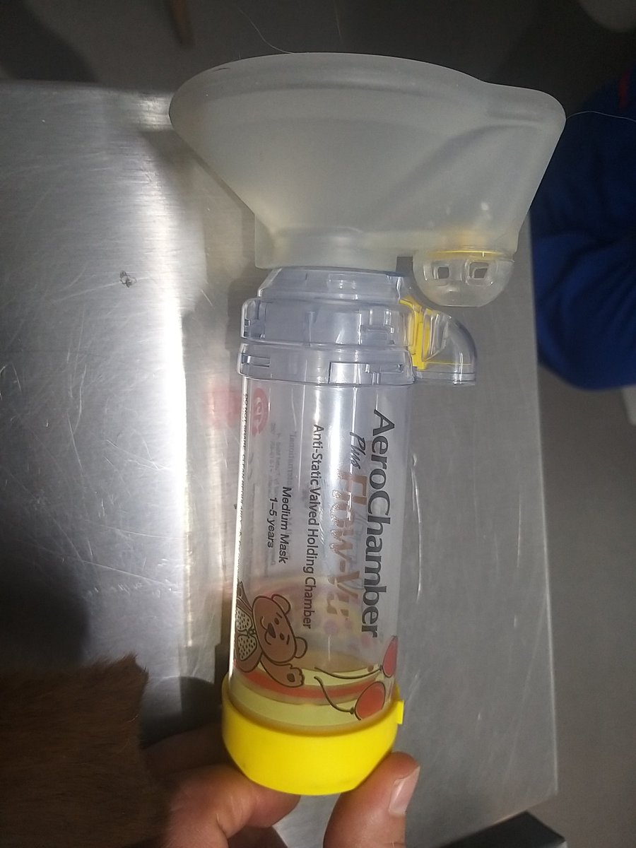 MxActivista's tweet photo. 🩺💊Buenas tardes Amig@s pues #Canelo sigue malito🥺 Le mandaron 4 medicamentos😥 Ya conseguí 2 (los orales), solo me faltan estos 2 que son su Oxígeno para que respire mejor 😷 Por eso acudo a su valiosa ayuda xFavor🙏🏽
De antemano gracias🐕 #FelizMiercoles #Apadrina #Adopta 🐾 https://t.co/If7HIXab1S