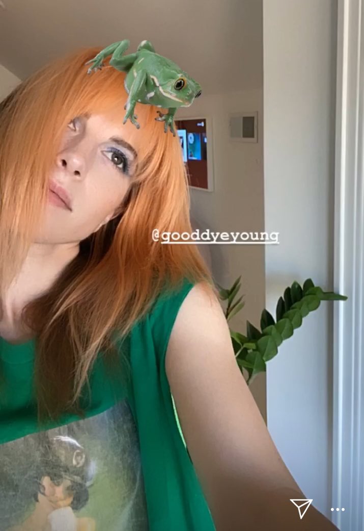 hayley williams as frogs a thread