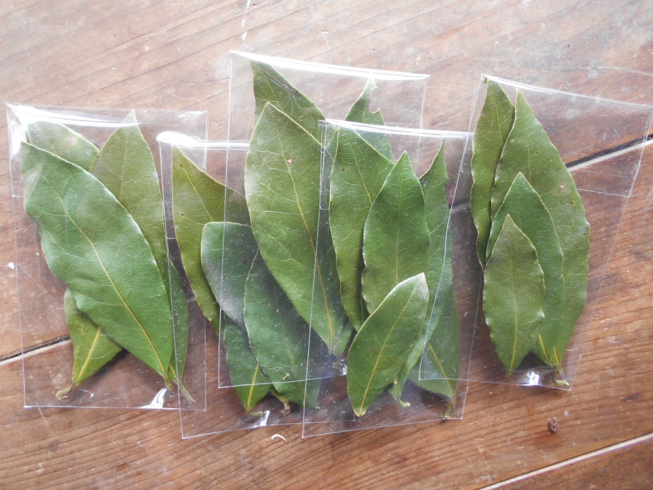 一反百姓 じねん道 地球市民皆農 Everyone Be One Seed Farmers じねん道 無農薬 自然健康農産物 大きなかぶ板橋店 東京都板橋区 さやの湯処 大きなかぶ阿見店 茨城県阿見町 販売中 紫キクイモ 菊芋 小豆 あずき エゴマ 荏胡麻 の