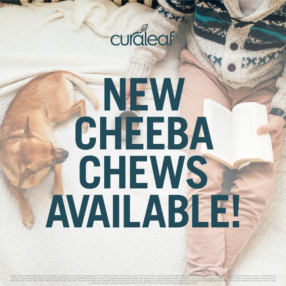 Curaleafma's tweet photo. Make sure to pass by today! #CheebaChews @CheebaChews #edibles 
https://t.co/GWvzCG4jtN https://t.co/iv17Zhgt81