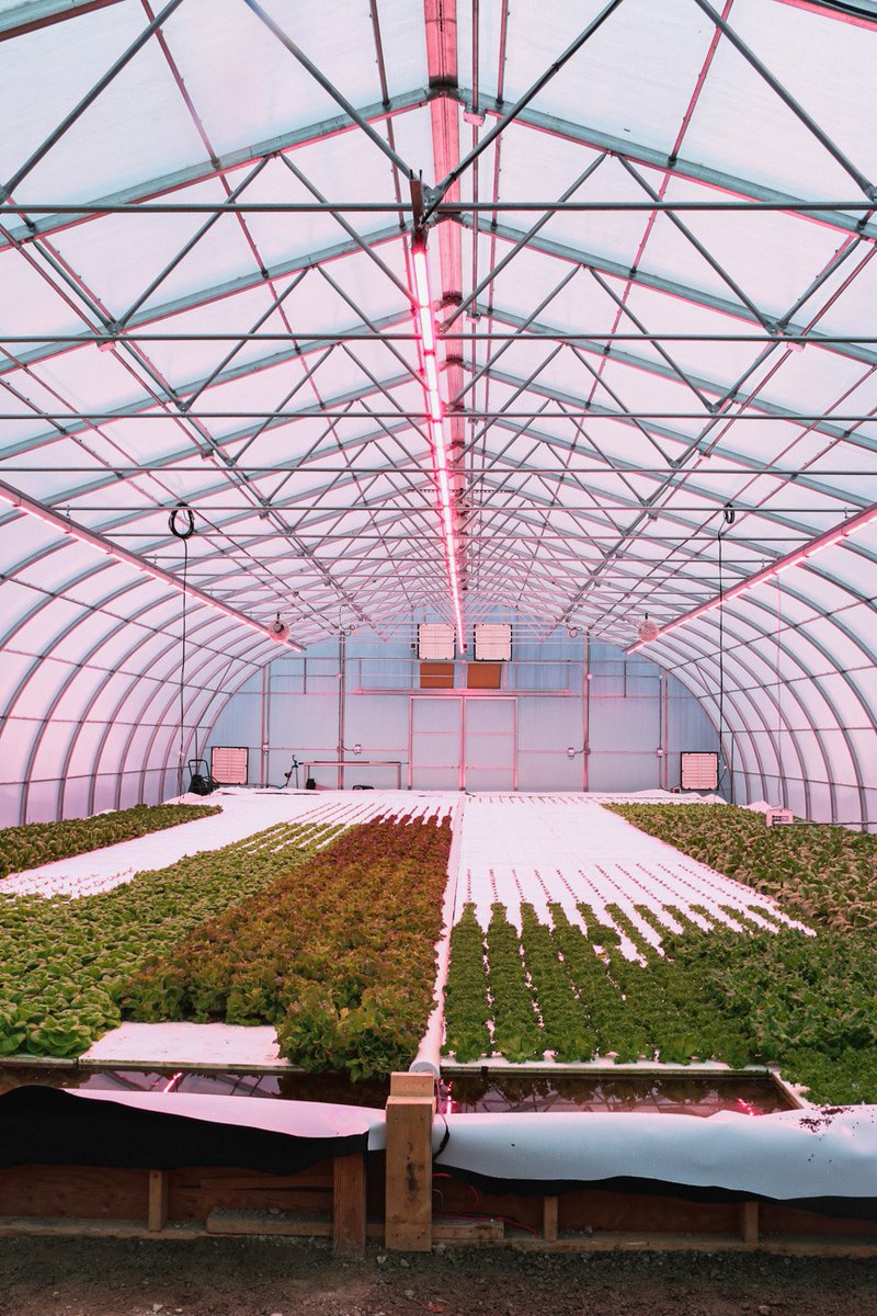 Lepp Farm Market tweet media
