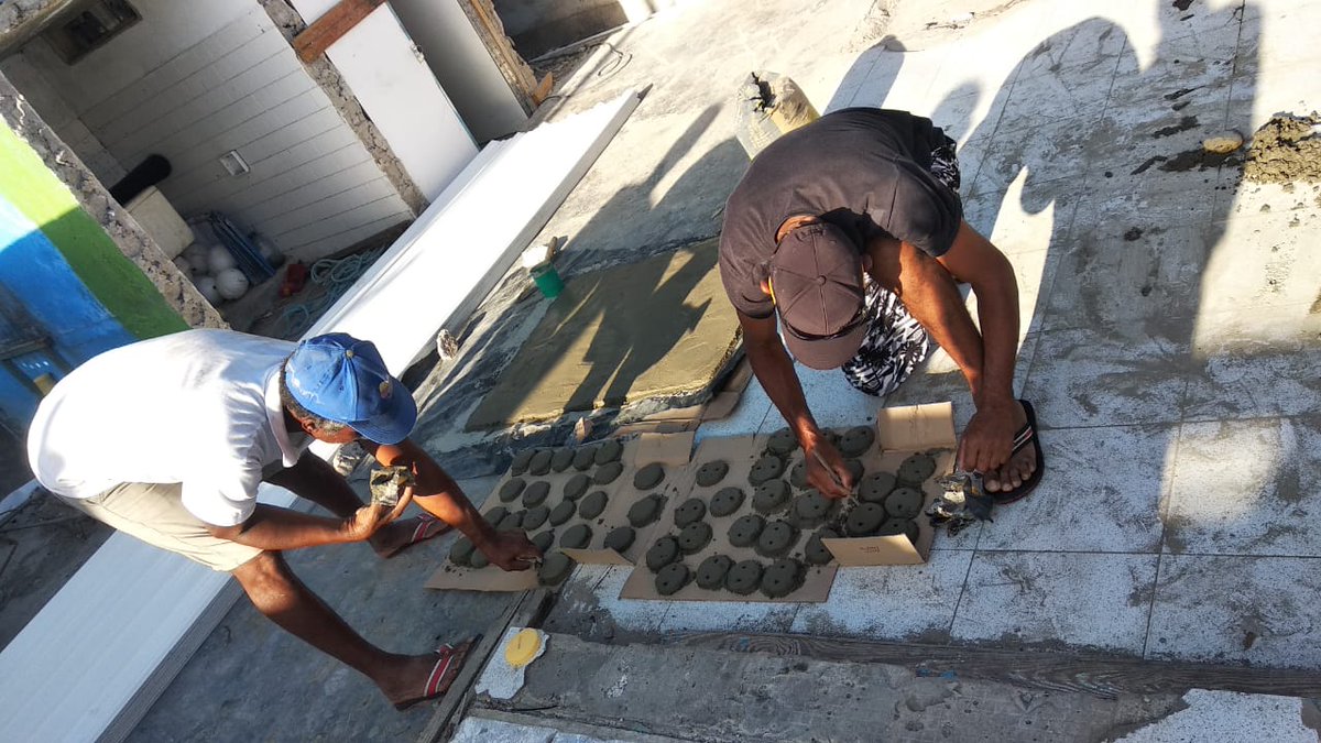 coralina_sai's tweet photo. Junto con @ParquesColombia y @coralina_sai, con el apoyo de @CIColombia, @coralesdepaz y @USAID_Colombia, seguimos #UnidosPorElArchipiélago por la restauración de los ecosistemas arrecifes coralinos de Providencia. https://t.co/vZ9aQQlbtO