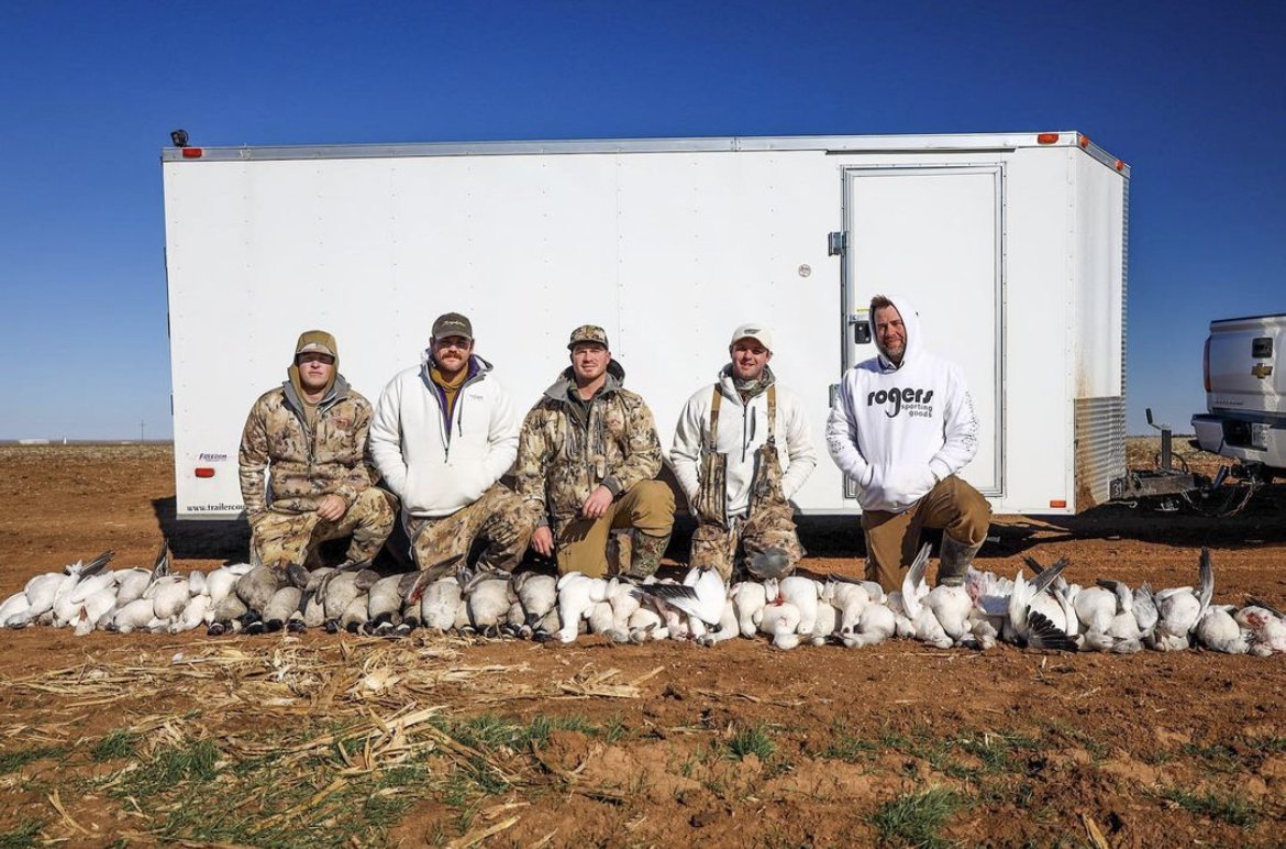 rogerssporting's tweet photo. Anyone plan on chasing some snows this weekend?
.
.
.
#snow #geese #conservationorder #waterfowl #goosehunting #rogerssportinggoods
π·: @austiningram_ https://t.co/xehyVJKLq1