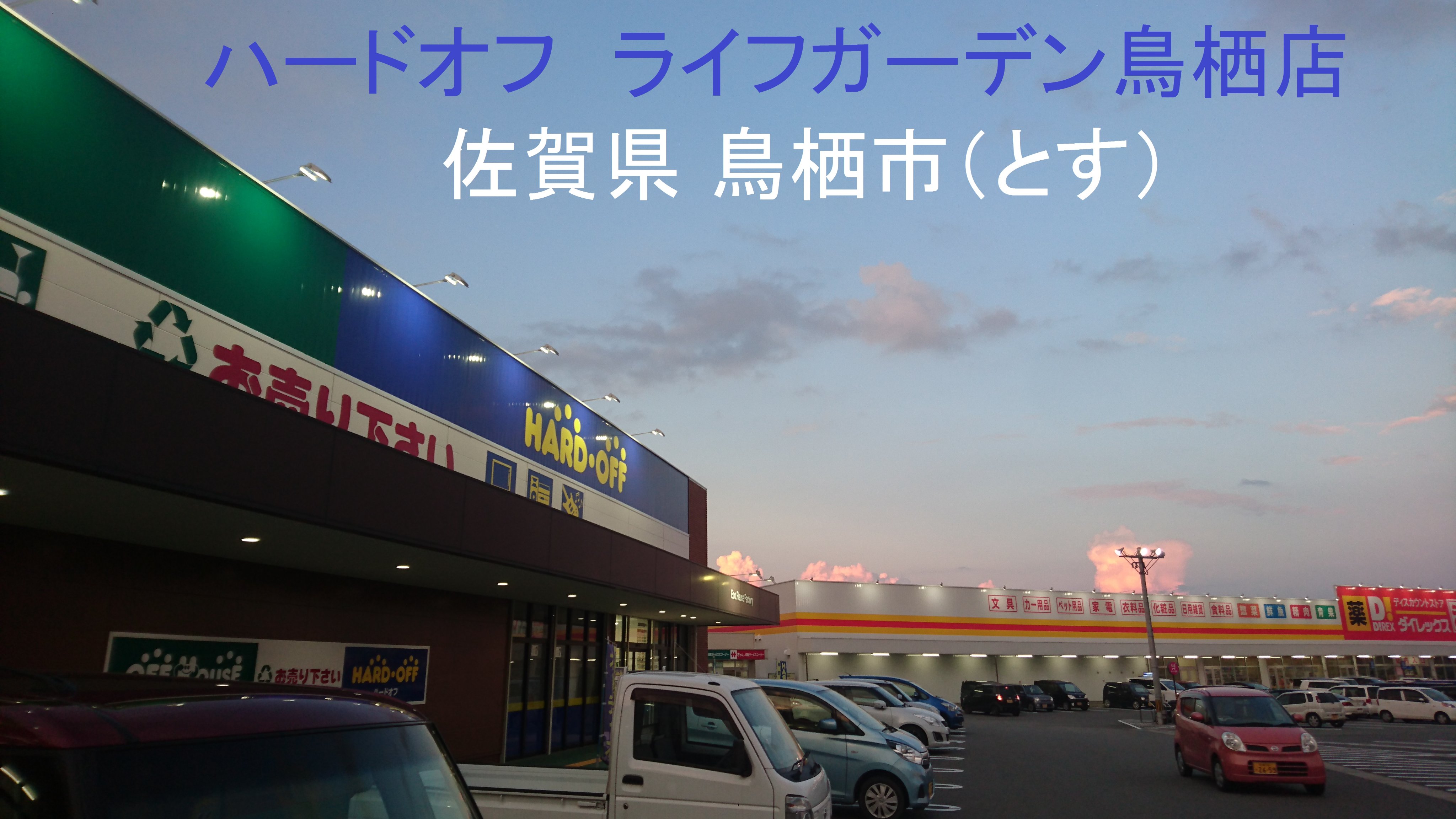 の猫 ハードオフ ライフガーデン鳥栖店 佐賀県 鳥栖市 とす 福岡との県境にある街 南下すると久留米 北上すると大宰府 家電量販店とドラッグストアーと 敷地を同じくするモール形式だった 道挟んだ目の前に ブリジストン鳥栖工場があった