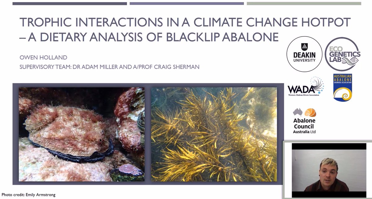 Dr Elodie Camprasse (she/her) 👩🔬🗺️🤿📷 (@ecamprasse) on Twitter photo <a href="/OwenJHolland/">Dr Owen Holland</a> from <a href="/EcoGeneticsLab/">EcoGenetics Lab</a> tells us about his work assessing blacklip abalone's vulnerability to algal loss linked to #climatechange. #VcBioCon21 <a href="/VicBioCon/">VicBioCon</a> <a href="/OwenJHolland/">Dr Owen Holland</a> from <a href="/EcoGeneticsLab/">EcoGenetics Lab</a> tells us about his work assessing blacklip abalone's vulnerability to algal loss linked to #climatechange. #VcBioCon21 <a href="/VicBioCon/">VicBioCon</a>