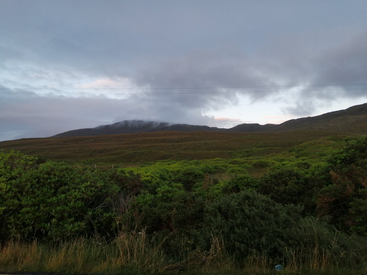 Scenario 3: large old infestation-Use a digger to pull the plants out and pile themHowever this exposes soil and the gives the next generation of seeds a chance to grow, so clear the whole area in one go, not a bit per year, that won't be effective against quick spreading seeds