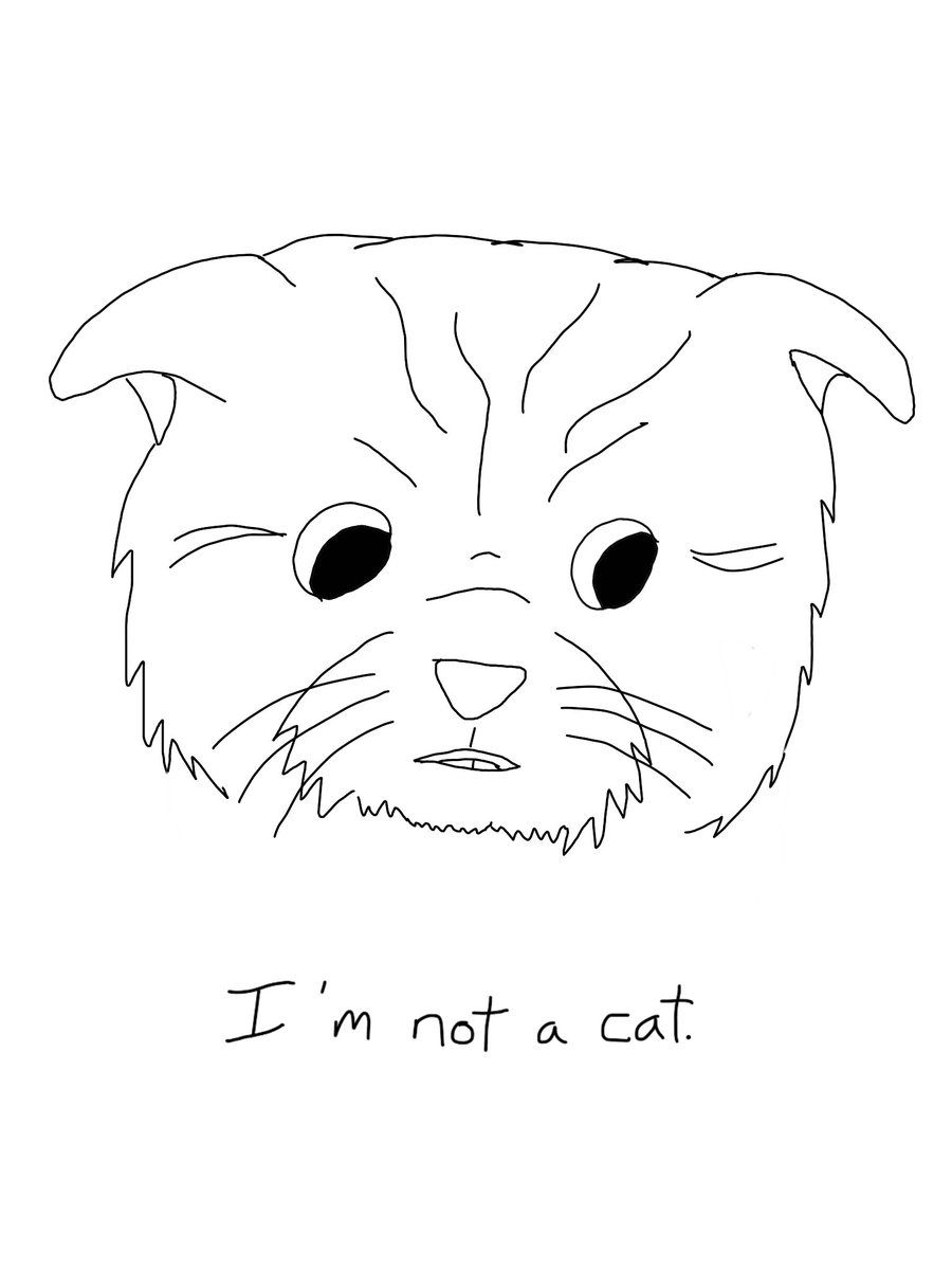 YourNameIsJesse's tweet photo. I’m not a cat #cat #kitten #imnotacat #notacat #artist #sketch https://t.co/bnulQB1bPV