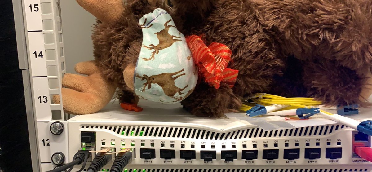 Paint me like one of your French moose!

To whoever was last in this rack in Telehouse TFM23: it might be time to do the right thing and own up! We know exactly when it happened from when that MikroTik's PSU1 failed, and a server lower in the rack suffered a bent CPU heatsink.