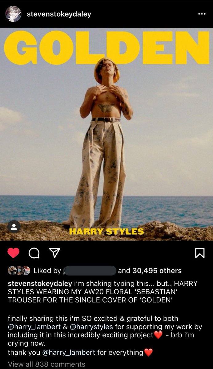 ~ designers~ Harry also works very hard to support small fashion designers helping to showcase their hard work,giving them a larger following & the recognition they deserve,for example he’s worked with both harris reed & steve stove daley helping to promote their beautiful work