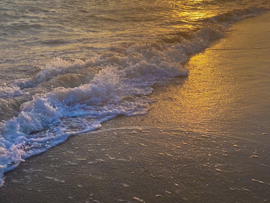 حياتنا كالأمواج تغرقنا في مراحل،و تجرفنا للأمان في بعض الأحيان، و مع هذه و تلك ،لم نتعلم في كل خطوة كيف ننجو بأنفسنا..