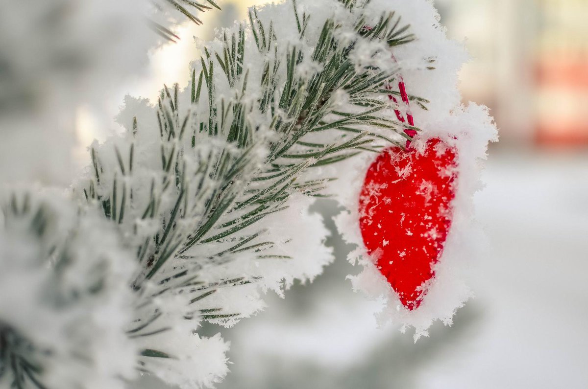 NataToys's tweet image. We have a beautiful winter , and you? Valentine days 💞

Crochet pattern heart 👉 etsy.com/NataToysPatter… #crochettoys #penguinpattern #plushpattern #penguinpatterns #heartcrochet #freecrochetpatterns #valentinday