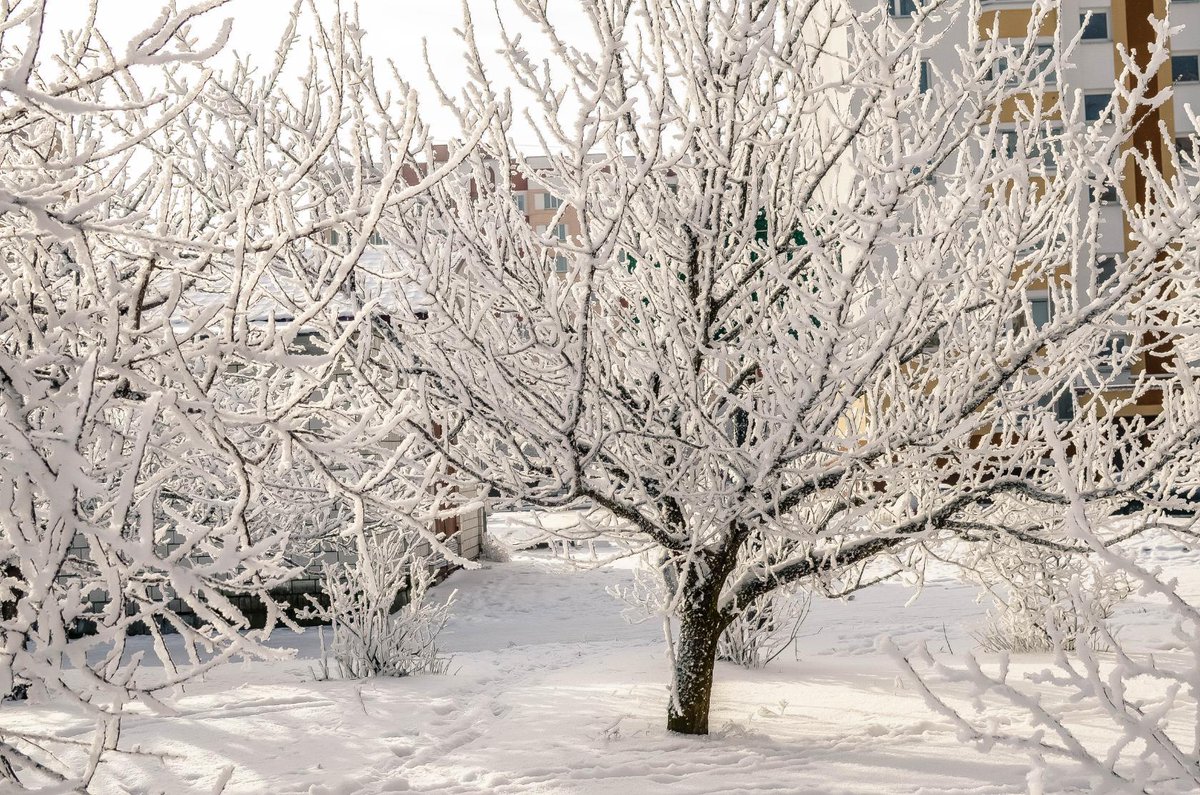 NataToys's tweet image. We have a beautiful winter , and you? Valentine days 💞

Crochet pattern heart 👉 etsy.com/NataToysPatter… #crochettoys #penguinpattern #plushpattern #penguinpatterns #heartcrochet #freecrochetpatterns #valentinday