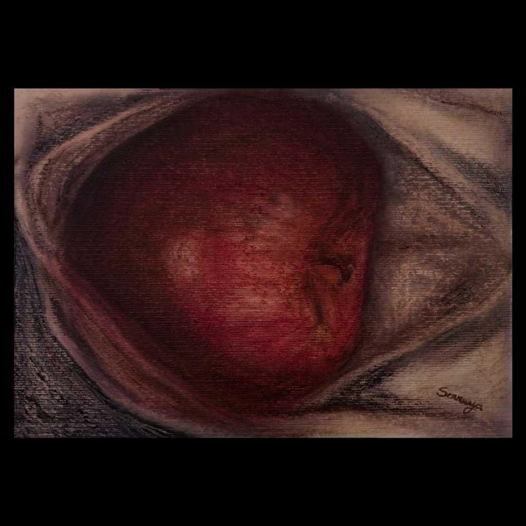 valeriaserruya's tweet photo. Primera obra publicada de la serie #Manzanas del año! Realizada en #OleoPastel en interiores de mi #TallerDeArte.
.
Parte de las obras de #ProyectualPintura #CatedraFlorio #UNAVisuales #UniversidadNacionalDeLasArtes. Gracias!
.
#igartwork #instaartwork #… https://t.co/KBC7OJs4Ks https://t.co/sJumP8jofG