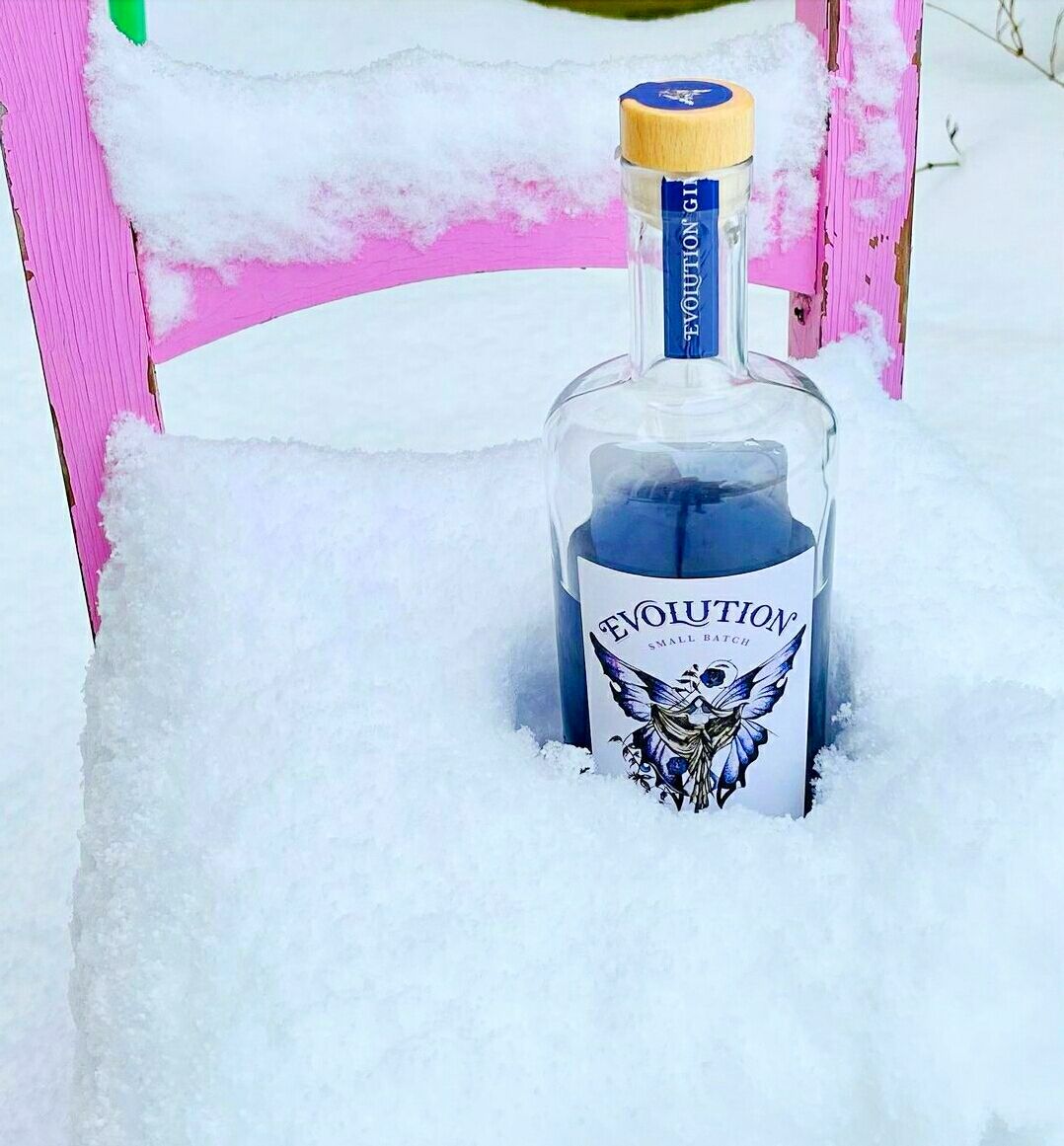 Great image from an Evolution Gin fan! How to measure the snowfall and keep your gin cold 😂 💜 

#Gin #GinLover #Snow