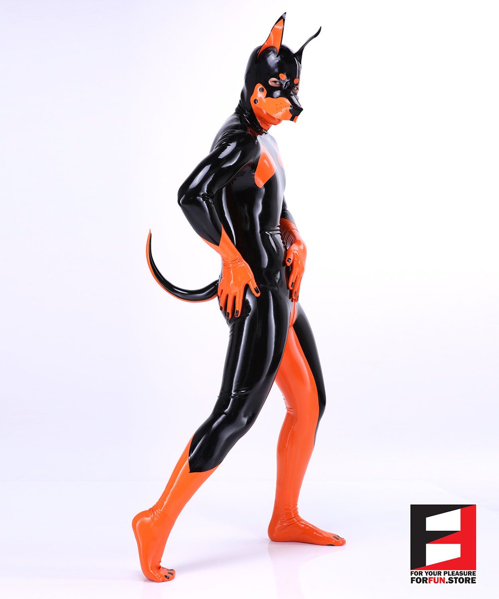 PETSUIT ペットスーツ on Twitter: