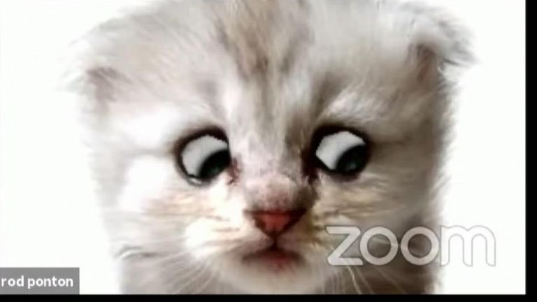 IAAReads's tweet photo. CATS would have been a much better movie if they’d just used a Zoom filter #IAmNotACat https://t.co/JPs5omt35q