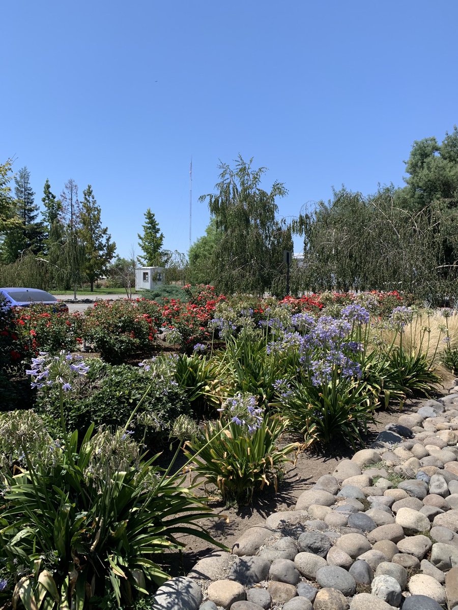 Sarah Foster tweet media