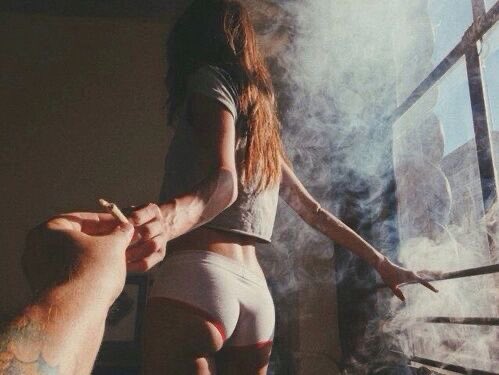 ・𝖑𝖊𝖓𝖆・ tweet media