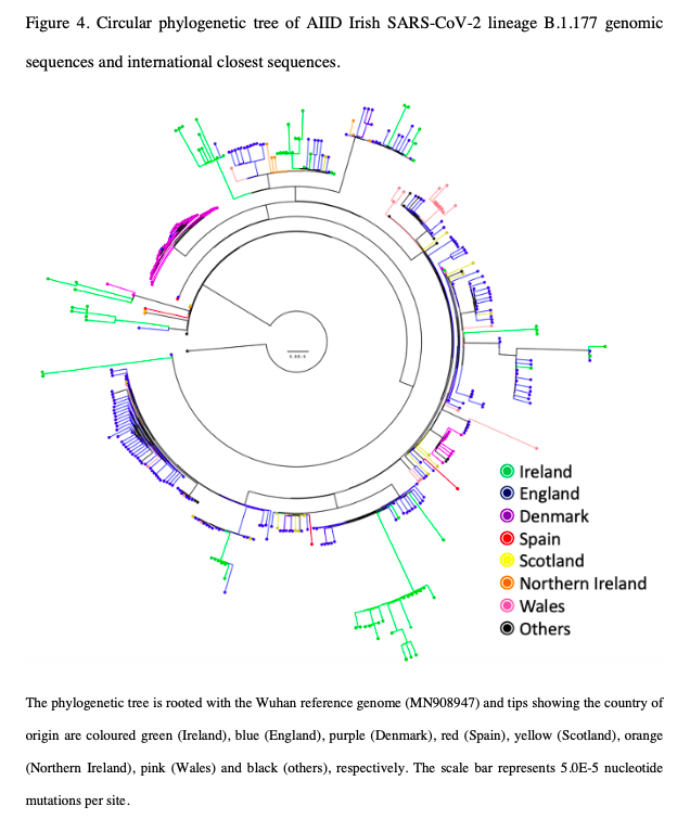 In addition, when we analysed the B.1.177 sequences from W2, they more closely linked to sequences from outside Ireland than viruses from W1. This suggests multiple different introductions of B.1.177 variants into  #Ireland, likely through travel, contributing to W2.  #COVID19 5/9