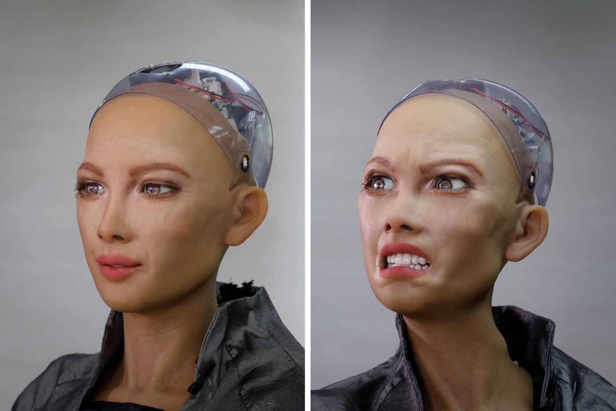 Робот София 2021
