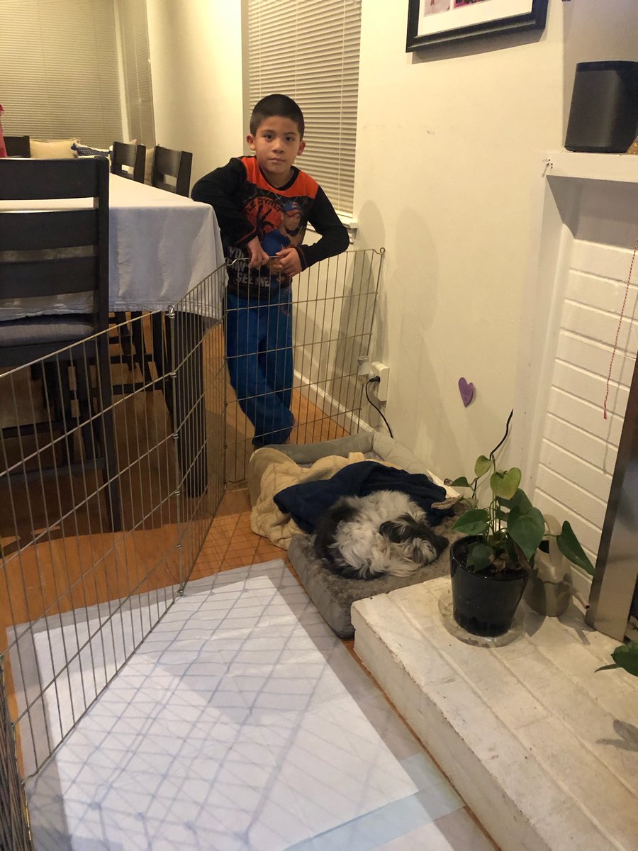 BurbankElem's tweet photo. Talented @BurbankElem @MadeinHayward Eagles made new drawings, put pets to bed on their own and built lego sets on their own for Try It Out Tues. Proud of you Eagles! 🎉@BurbankYEP @TurnarndArtsCA #icanandiwillaguilas https://t.co/lRy8vuVFan