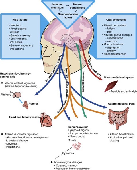 #LongCovid : a multi-symptom disorder resulting from central dysregulation of haemostatic pathways-immune, neural, autonomic, endocrine?  #postviral #longhaulers diagram from Med J Aus 2002