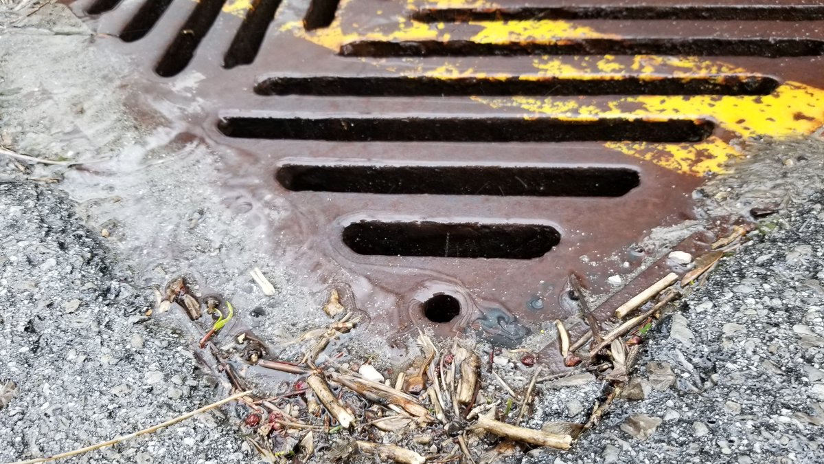 TRCA_HQ's tweet photo. Want to learn more about what happens to snow or rain after it falls? Register for our FREE Rain to Runoff e-resource kit at https://t.co/f5zxVCZ3Ul #onlinelearning #stormwater https://t.co/RUeLWC2m3Z