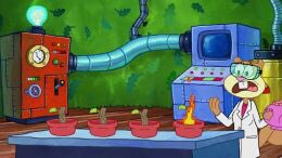 3. Religion and science co-exist. Neptune exists within the show as a deity and yet people like Plankton and Sandy are acknowledged for their scientific genius.