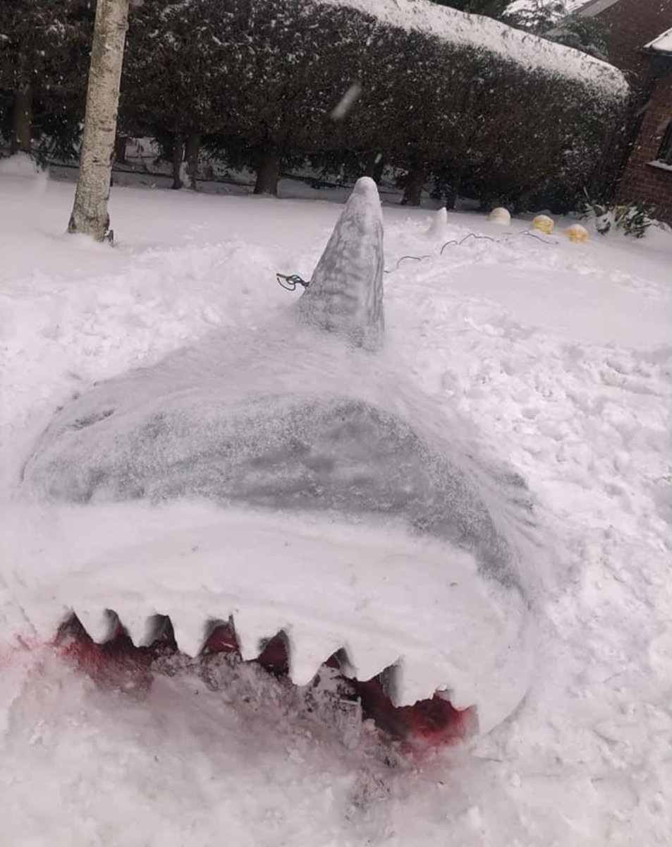 Pete__Simmons's tweet photo. @thedailyjaws just seen this posted from a guy local to me! Great snow sculptures 👌🏻👍 https://t.co/pBpUpznQiJ