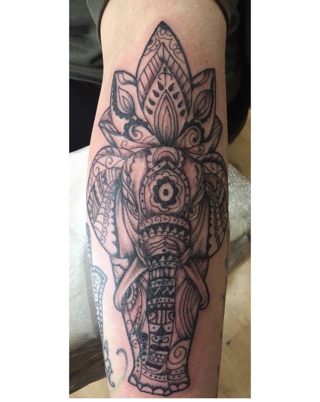 B My Three Favourite Tattoos On My Self Hand Mandala Elephant Forearm Wolf Upper Inner Arm Tattoo Tattooart Mandala Tattoosday Inked Tatted Dotwork Tattoosday Tattedbaddie Stonerfam Tattooed