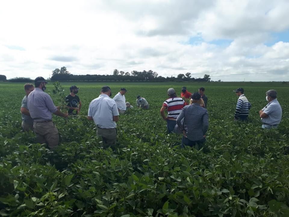 GesagroSA's tweet photo. Nuestros clientes y productores de #Pergamino junto a Syngenta realizaron una recorrida a campo en la Sociedad Rural.
En la "Ruta del Bicho", se conocieron nuevas herramientas para el manejo de #plagas y #enfermedades en la soja.
#MiravisDuo #Engeo #AmistarXtra #VoliamTargo https://t.co/pC6GC5v0iN