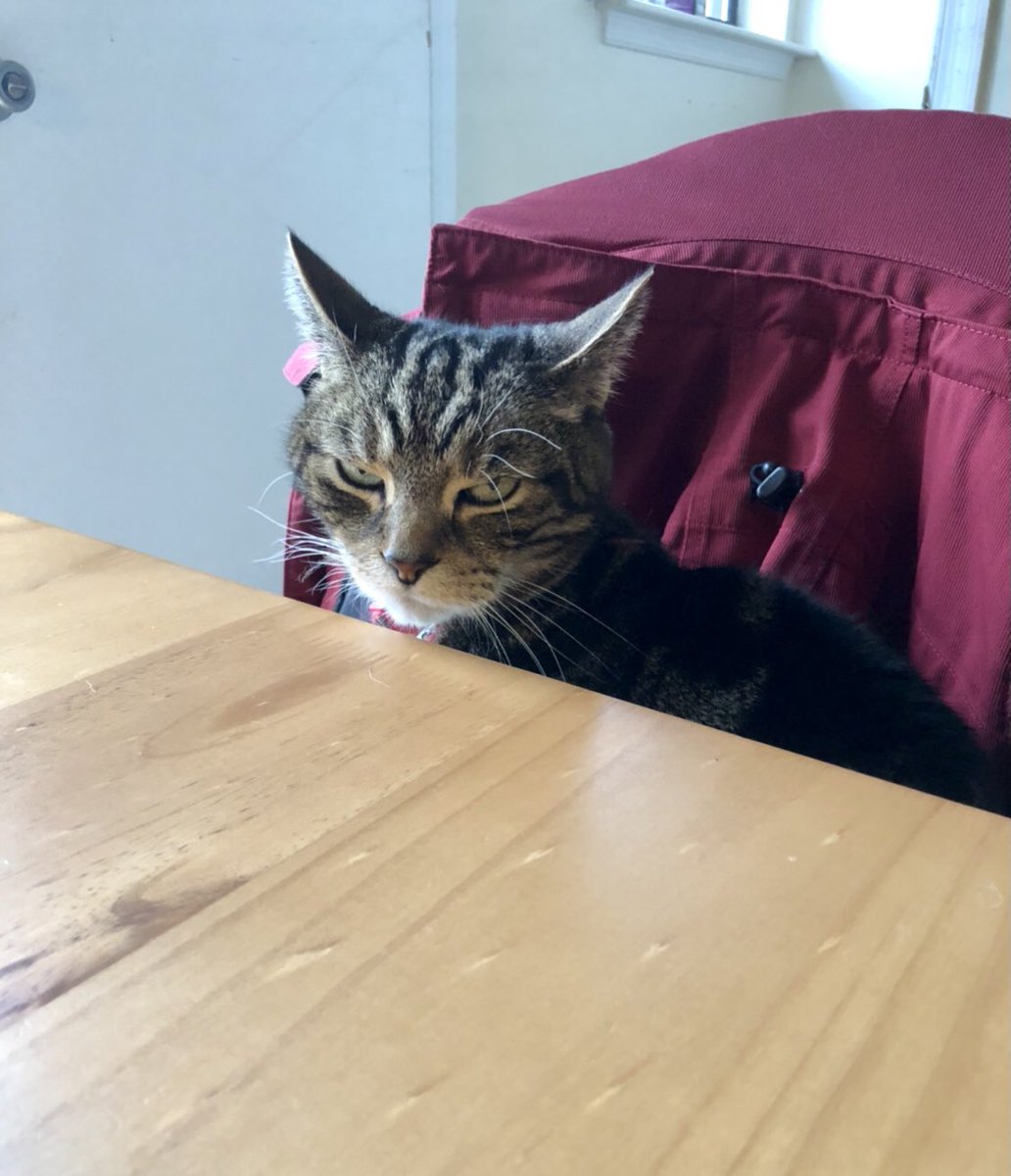 He thinks you make poor choices