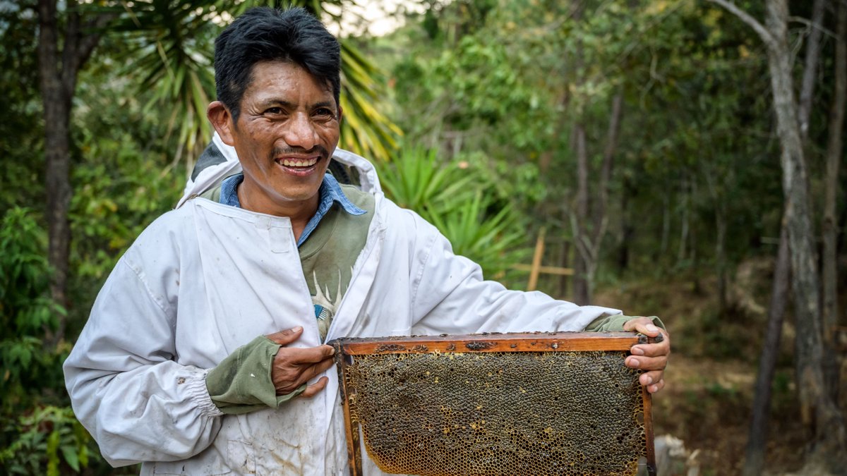 WorldVisionUSA's tweet image. We all need to eat to survive. But how often do we think about where food comes from, and who produces it? 🚜 🌾
Take a peek from a global perspective! #FoodSystems #DevexSERIES #WVfood bit.ly/3rH9Fg2