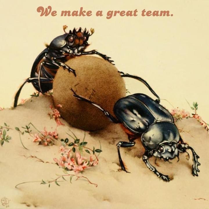 EarthOptimism's tweet photo. Send this to someone who helps you get over the middle school group project flashbacks 💕 https://t.co/9DoXJjelys