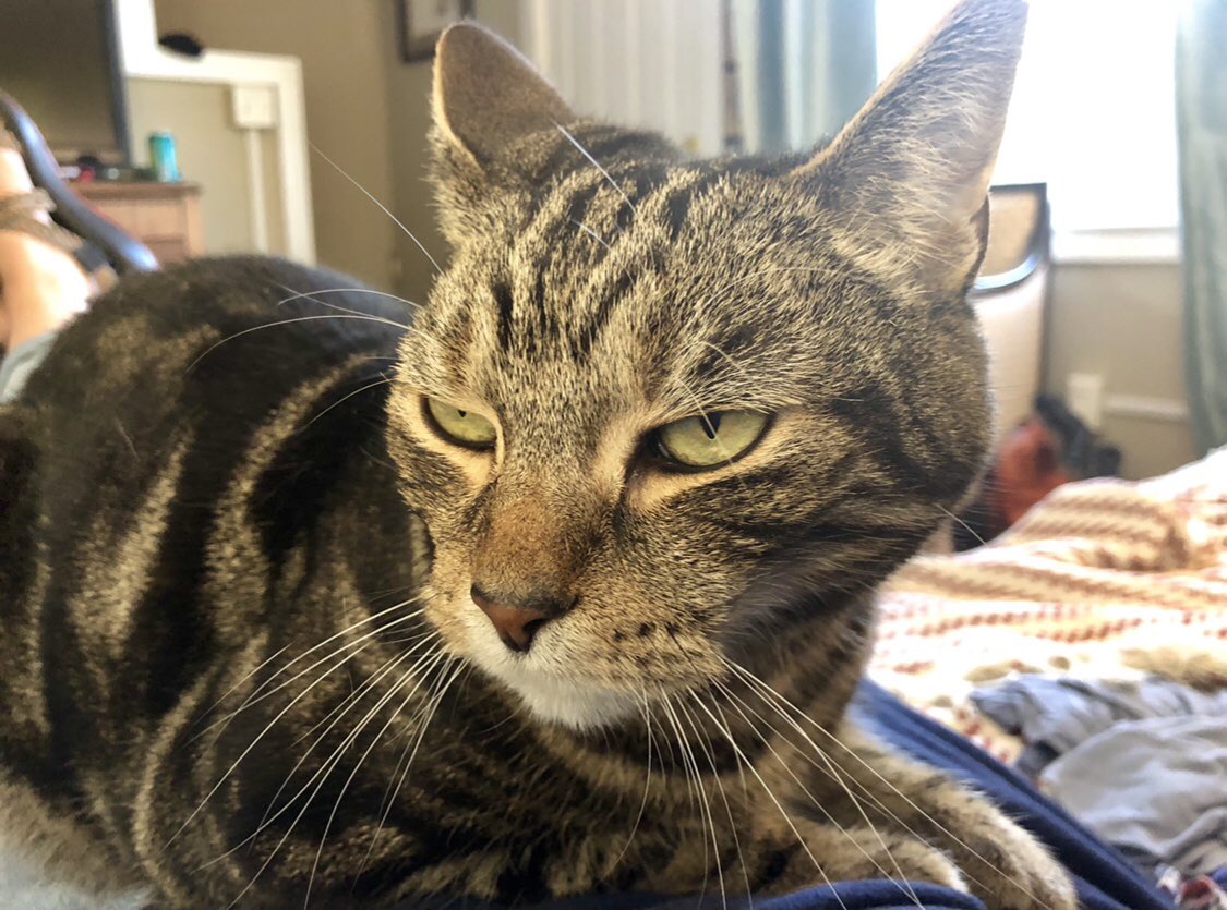 Right out the gate you should know he’s disappointed in you.