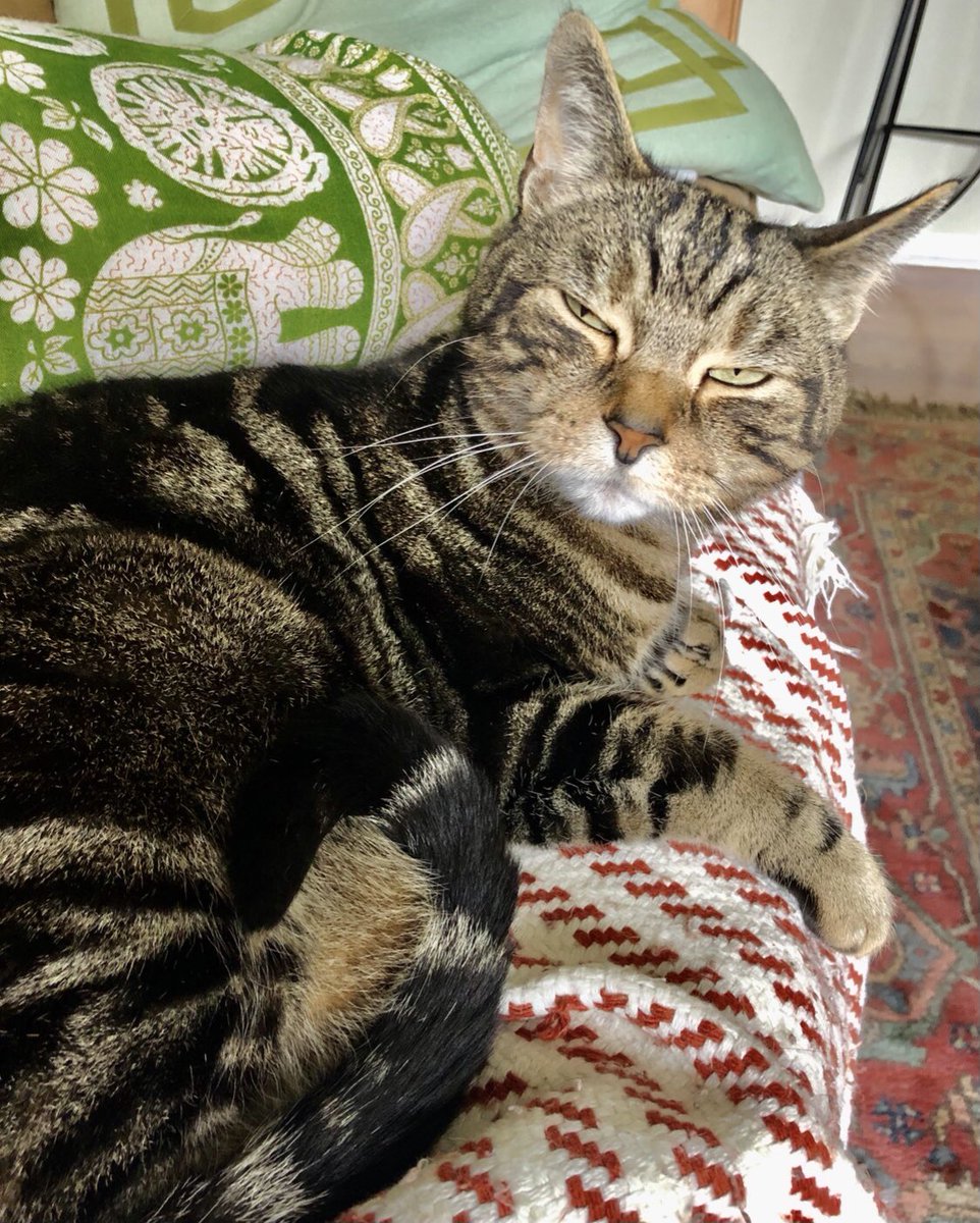 Right out the gate you should know he’s disappointed in you.