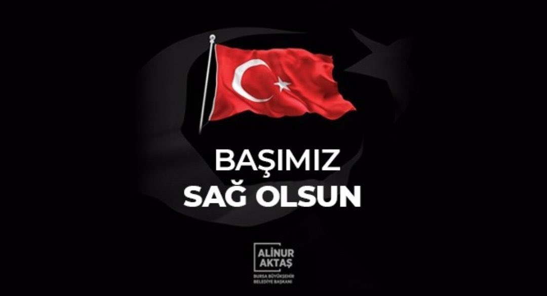 Alinur Aktaş