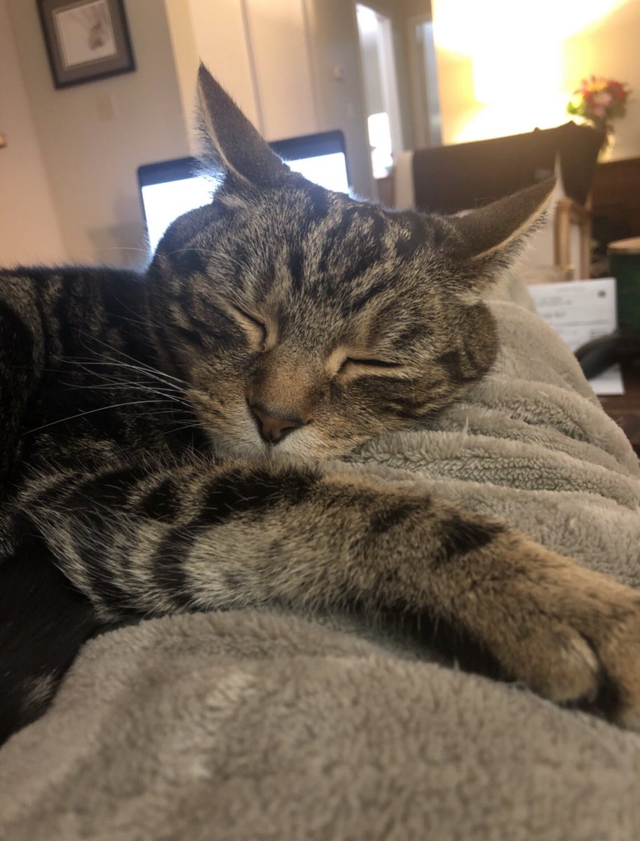 Yes, he is angry Yes, he is happyUnless you eff up