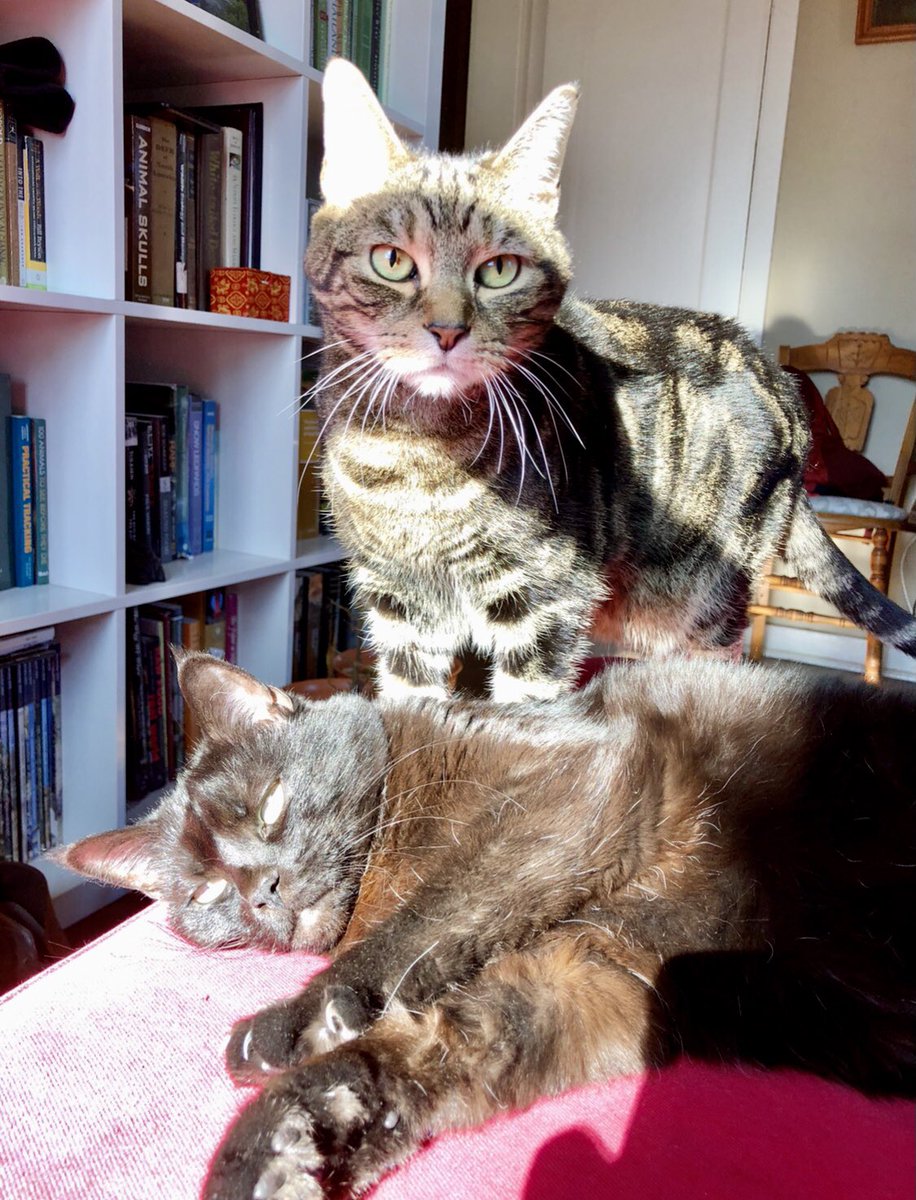 His sister deserves everything she gets but she should also be available for cuddles