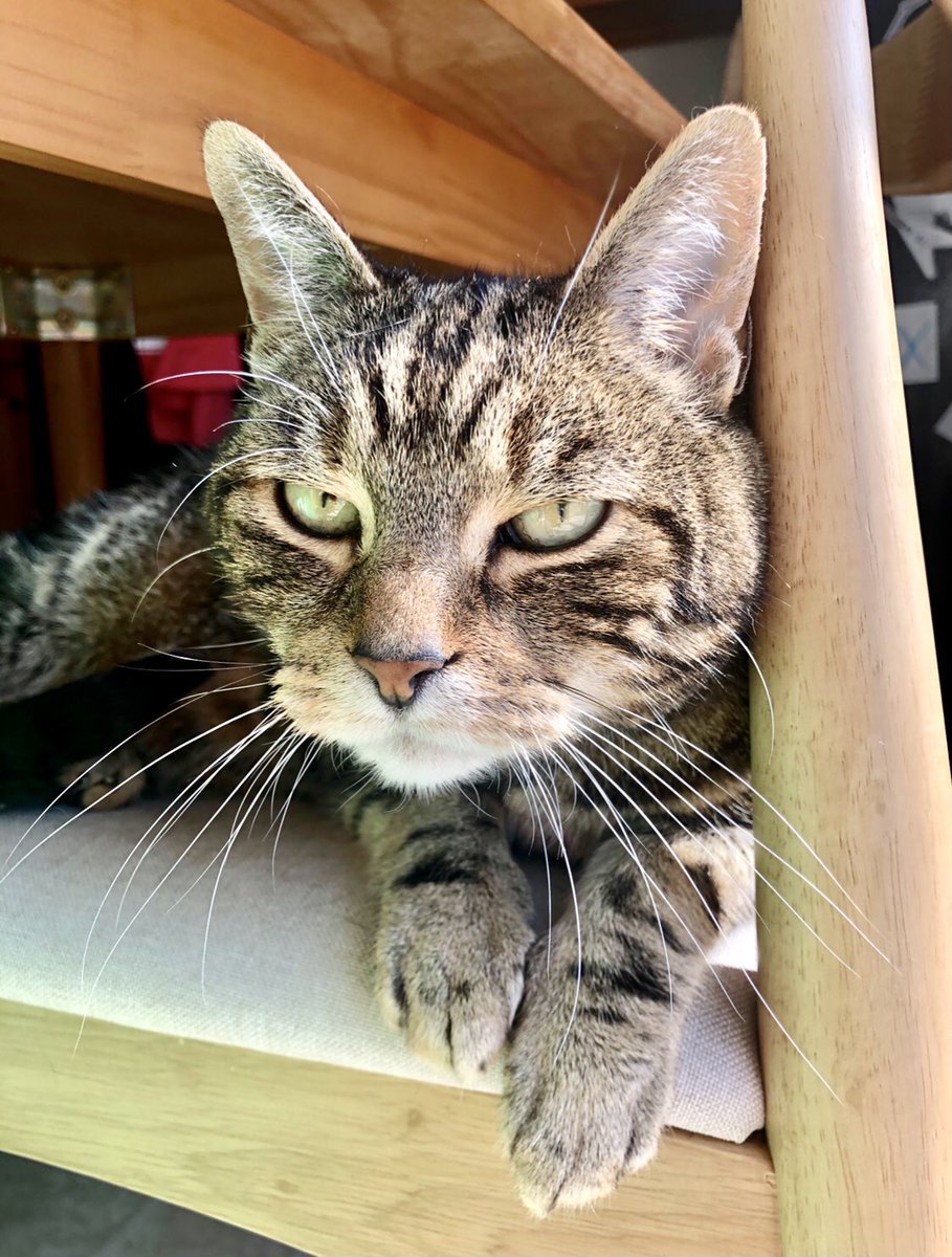 He knows he is pretty, get over it already and don’t touch himBut also touch himNOT right there