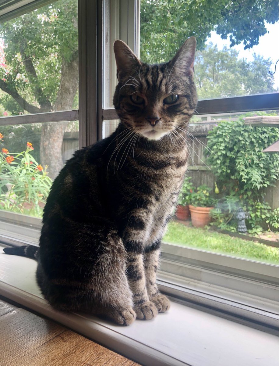 He knows he is pretty, get over it already and don’t touch himBut also touch himNOT right there