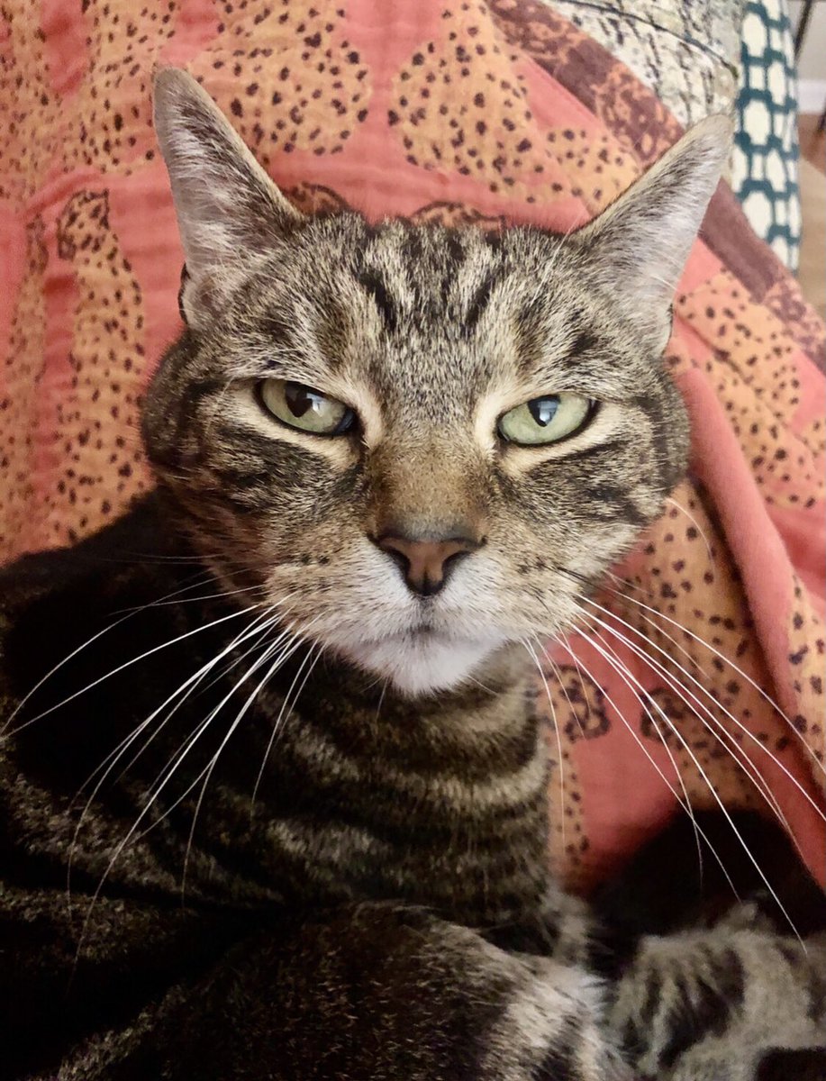 He thinks you spend too much time on yourself and not enough time on things that really matter, specifically him