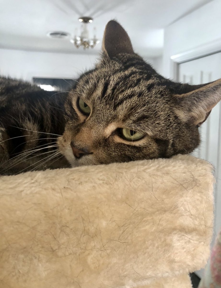 He questions most of your life choices because they are uninteresting