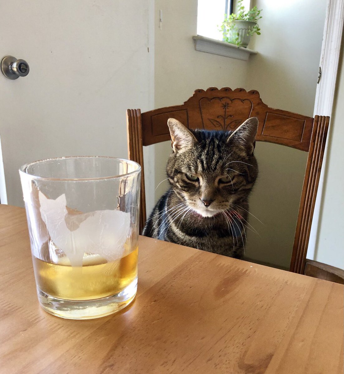 He is resigned to the yoke of this life (because of you, it because he is indoor-only)