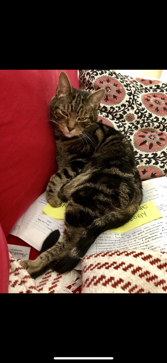 The nights are the hardest because the walls don’t yell back, but then the day comes and you have to yell at the people (or the damn dog) for existing